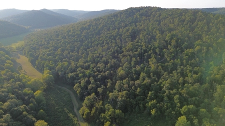 Hunting Land in Monticello, Kentucky - image 16