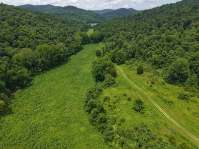Hunting Land in Monticello, Kentucky - image 1