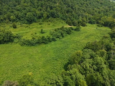 Hunting Land in Monticello, Kentucky - image 3