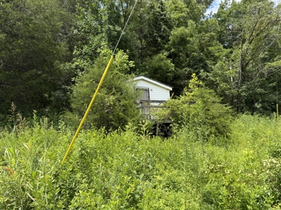 Hunting Land in Monticello, Kentucky - image 11