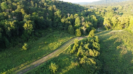 Hunting Land in Monticello, Kentucky - image 8