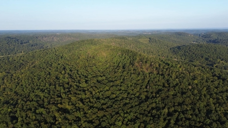 Hunting Land in Monticello, Kentucky - image 21