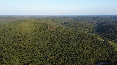Hunting Land in Monticello, Kentucky - image 22