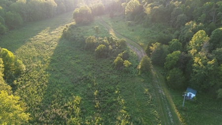 Hunting Land in Monticello, Kentucky - image 12