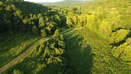 Hunting Land in Monticello, Kentucky - image 6