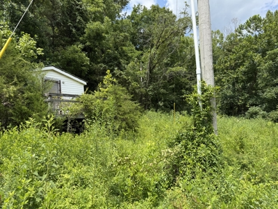 Hunting Land in Monticello, Kentucky - image 10