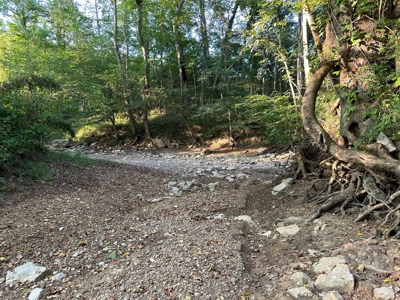 Hunting Land in Monticello, Kentucky - image 13