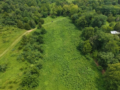 Hunting Land in Monticello, Kentucky - image 6