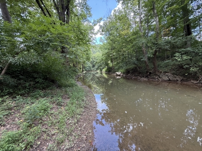 Hunting Land in Monticello, Kentucky - image 7