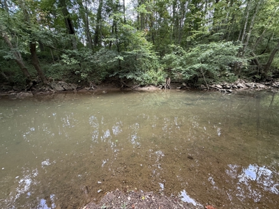 Hunting Land in Monticello, Kentucky - image 8