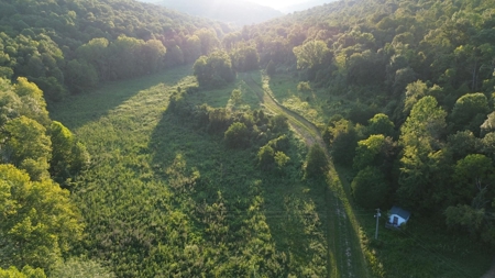Hunting Land in Monticello, Kentucky - image 1