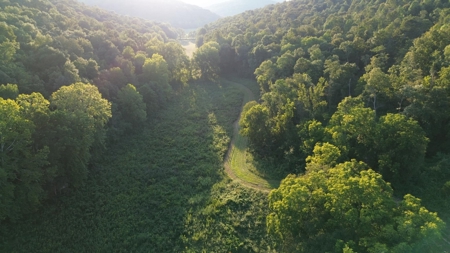 Hunting Land in Monticello, Kentucky - image 5