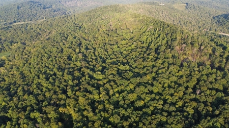 Hunting Land in Monticello, Kentucky - image 18