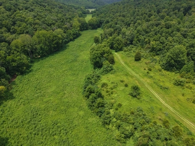 Hunting Land in Monticello, Kentucky - image 2