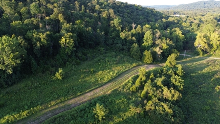 Hunting Land in Monticello, Kentucky - image 7