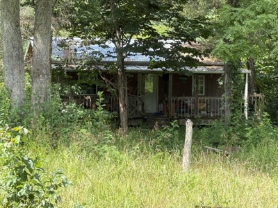 Hunting Land in Monticello, Kentucky - image 12