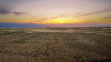 Improved Pasture for Cattle Grazing Northern Montana Ranch - image 7