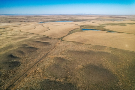 Improved Pasture for Cattle Grazing Northern Montana Ranch - image 10