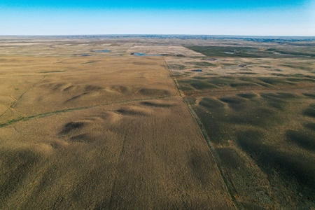 Improved Pasture for Cattle Grazing Northern Montana Ranch - image 9