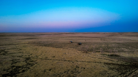 Improved Pasture for Cattle Grazing Northern Montana Ranch - image 6