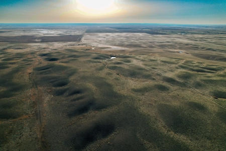 Improved Pasture for Cattle Grazing Northern Montana Ranch - image 12