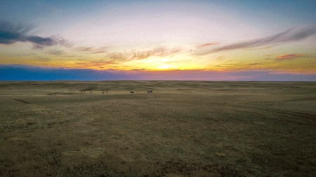 Improved Pasture for Cattle Grazing Northern Montana Ranch - image 2