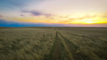Improved Pasture for Cattle Grazing Northern Montana Ranch - image 1