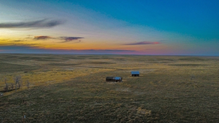 Improved Pasture for Cattle Grazing Northern Montana Ranch - image 3