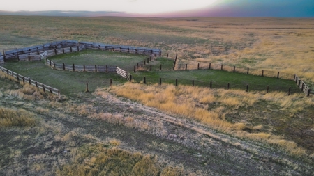 Improved Pasture for Cattle Grazing Northern Montana Ranch - image 5