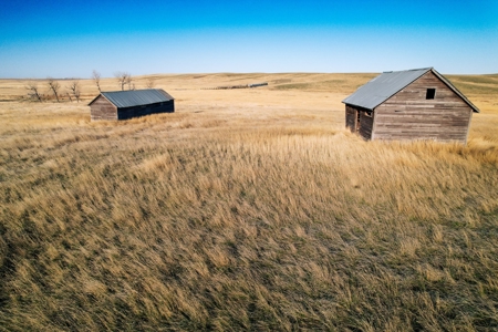 Improved Pasture for Cattle Grazing Northern Montana Ranch - image 13
