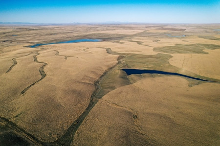 Improved Pasture for Cattle Grazing Northern Montana Ranch - image 11