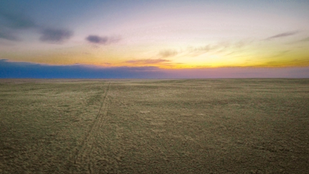 Improved Pasture for Cattle Grazing Northern Montana Ranch - image 8