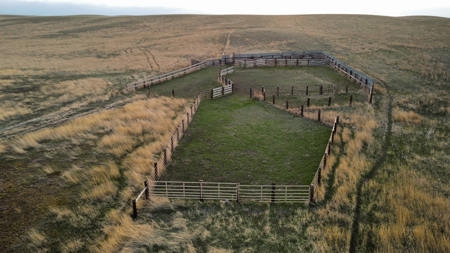Improved Pasture for Cattle Grazing Northern Montana Ranch - image 4