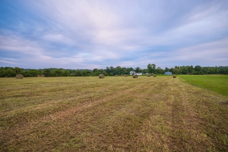 Country Home Retreat in Spencer, Indiana! - image 49