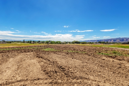 Country home on 9 irrigated acres for sale in Fruita, CO - image 9