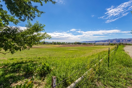 Country home on 9 irrigated acres for sale in Fruita, CO - image 2