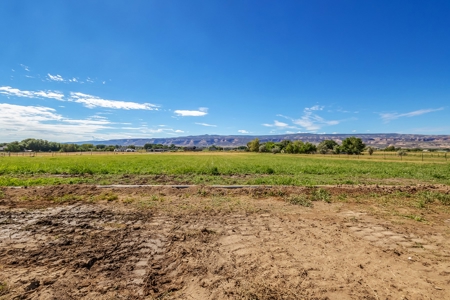 Country home on 9 irrigated acres for sale in Fruita, CO - image 8