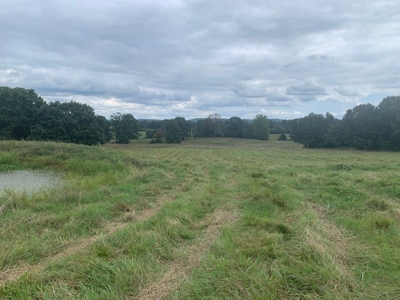 Price Reduced! Quality Ozark Ranch For Sale - image 13