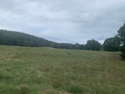 Price Reduced! Quality Ozark Ranch For Sale - image 18