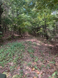 Price Reduced! Quality Ozark Ranch For Sale - image 35