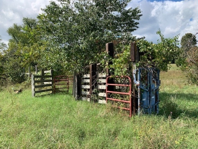 Price Reduced! Quality Ozark Ranch For Sale - image 43