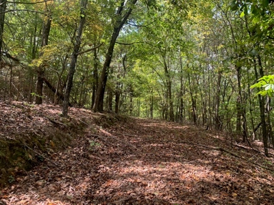 Price Reduced! Quality Ozark Ranch For Sale - image 36