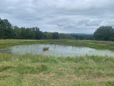 Price Reduced! Quality Ozark Ranch For Sale - image 11