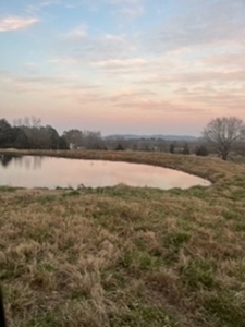 Price Reduced! Quality Ozark Ranch For Sale - image 5