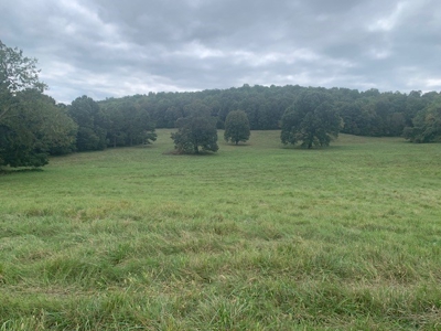 Price Reduced! Quality Ozark Ranch For Sale - image 20
