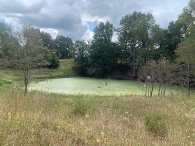 Price Reduced! Quality Ozark Ranch For Sale - image 30
