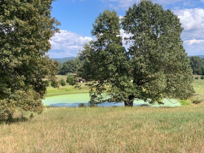 Price Reduced! Quality Ozark Ranch For Sale - image 39