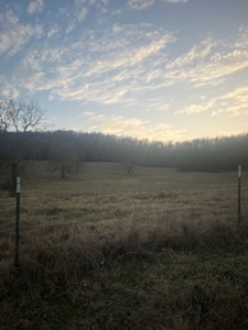 Price Reduced! Quality Ozark Ranch For Sale - image 6