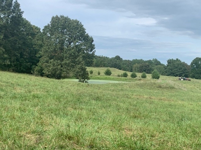 Price Reduced! Quality Ozark Ranch For Sale - image 26