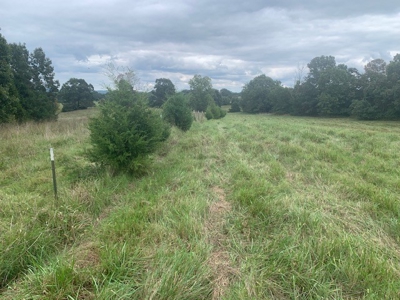 Price Reduced! Quality Ozark Ranch For Sale - image 19